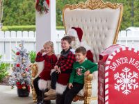 Christmas-at-Flowers-2023-11